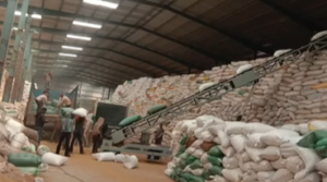 Bag Stacker Conveyor