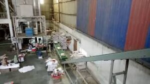 Bag Stacker Conveyor