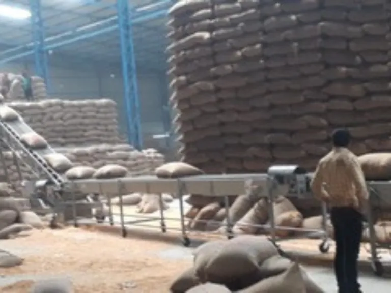 Horizontal Conveyor system