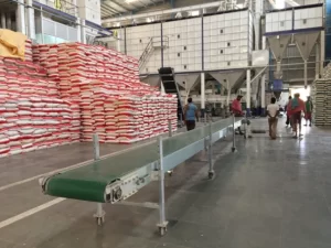 Horizontal Mover in industry