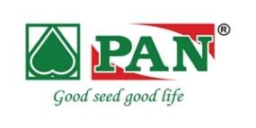 Pan Seeds, West Bengal