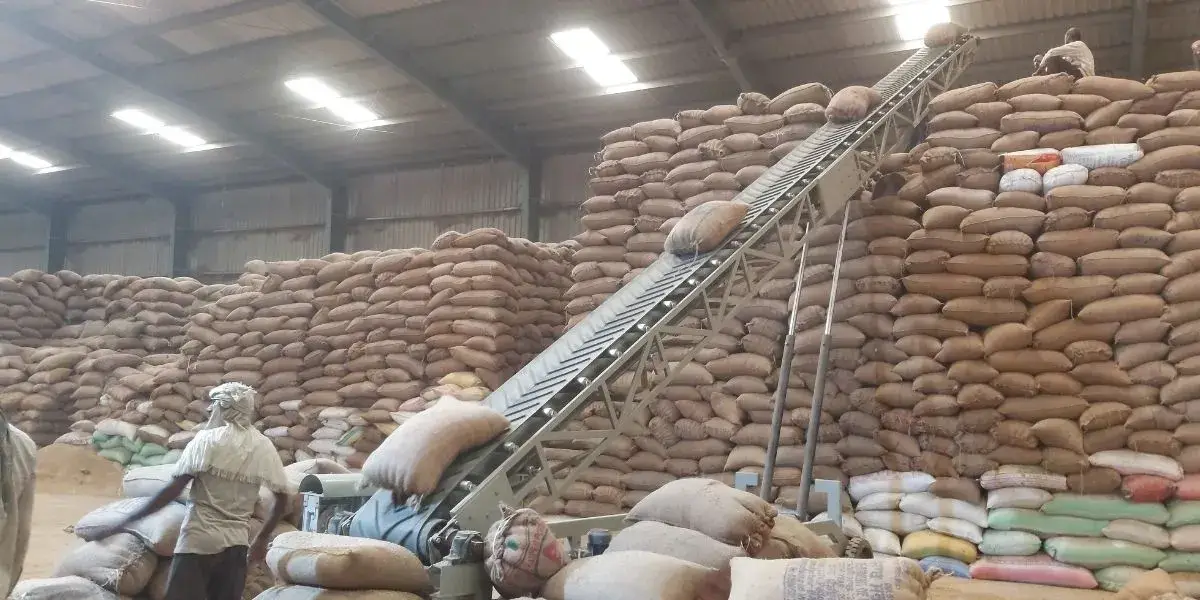Bag Stacking Conveyors